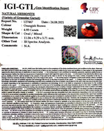 Load image into Gallery viewer, 4.93/CT Natural Govt. Lab Certified Ceylonese Gomed-(1221)