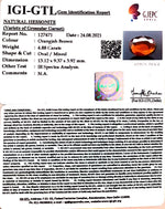 Load image into Gallery viewer, 4.88/CT Natural Govt. Lab Certified Ceylonese Gomed-(1221)