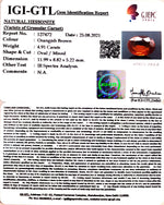 Load image into Gallery viewer, 4.91/CT Natural Govt. Lab Certified Ceylonese Gomed-(1221)