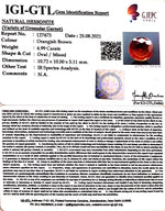 Load image into Gallery viewer, 4.99/CT Natural Govt. Lab Certified Ceylonese Gomed-(1221)