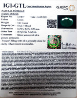 Load image into Gallery viewer, 3.41/CT Natural Panna Stone with Govt. Lab Certified (3441)