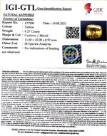 Load image into Gallery viewer, 9.27/CT Natural Ceylonese Pukhraj with Govt Lab Certificate-78810