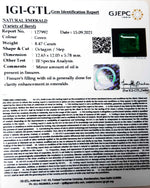 Load image into Gallery viewer, 8.47/CT Natural Panna Stone with Govt. Lab Certified (3441)