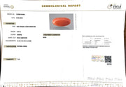 8.24/Carat Natural Japanese Red Coral-7100