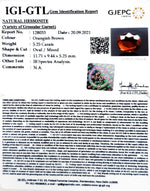 Load image into Gallery viewer, 5.25/CT Natural Govt. Lab Certified Ceylonese Gomed-(1221)