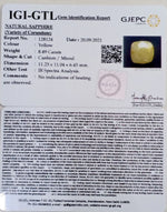 Load image into Gallery viewer, 8.49/CT Natural Yellow Sapphire with Govt Lab Certificate-(1221)
