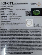 Load image into Gallery viewer, 3.13/CT Natural Panna Stone with Govt. Lab Certified (3441)