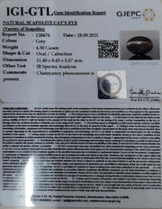 4.30/CT Natural Scapolite Cat's Eye with Govt. Lab Certified-(1221)
