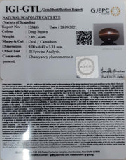 2.49/CT Natural Scapolite Cat's Eye with Govt. Lab Certified-(1221)