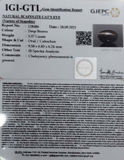 3.37/CT Natural Scapolite Cat's Eye with Govt. Lab Certified-(1221)