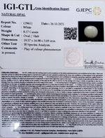 Load image into Gallery viewer, 8.17/CT Natural Fire Opal with Govt. Lab Certificate-2331