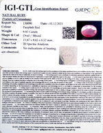 Load image into Gallery viewer, 7.11 Ratti Natural New Burma Ruby with Govt. Lab Certificate-(3441)