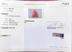 Load image into Gallery viewer, 5.52/CT Natural Red Coral With Govt. Lab Certificate
