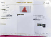 5.65/CT Natural Red Coral With Govt. Lab Certificate