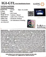 Load image into Gallery viewer, 4.62/CT Natural Blue Sapphire with Govt Lab Certificate-BLUSA9V