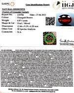 Load image into Gallery viewer, 4.07/CT Natural Govt. Lab Certified Ceylonese Gomed-(1221)