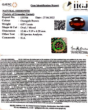 4.07/CT Natural Govt. Lab Certified Ceylonese Gomed-(1221)