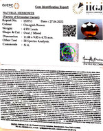 Load image into Gallery viewer, 4.93/CT Natural Govt. Lab Certified Ceylonese Gomed-(1221)