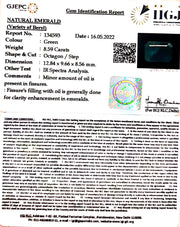 8.59/CT Natural Panna Stone with Govt. Lab Certified-4551