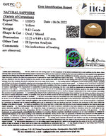 Load image into Gallery viewer, 9.42/CT Natural Ceylonese Pukhraj with Govt Lab Certificate-4551