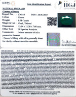 Load image into Gallery viewer, 8.38/CT Natural Panna Stone with Govt. Lab Certified-8991