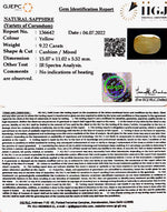Load image into Gallery viewer, 9.22/CT Natural Ceylonese Pukhraj with Govt Lab Certificate-6771