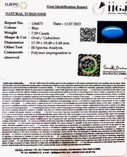 8.42 Carat Turquoise-(832)