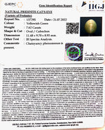 Load image into Gallery viewer, 7.62/CT Natural Prehnite cats eye with Govt. Lab certified-(1221)