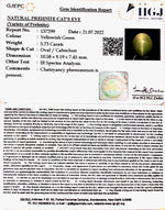 Load image into Gallery viewer, 5.73/CT Natural Prehnite cats eye with Govt. Lab certified-(1221)