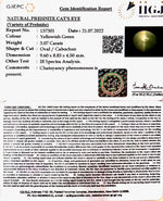 Load image into Gallery viewer, 3.07/CT Natural Prehnite cats eye with Govt. Lab certified-(1221)