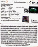 Load image into Gallery viewer, 9.24/CT Natural Panna Stone with Govt. Lab Certified (4551)