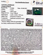 Load image into Gallery viewer, 9.09 Carat Natural Panna Stone with Govt. Lab Certified-12210