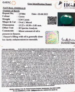 Load image into Gallery viewer, 5.54/CT Natural Panna Stone with Govt. Lab Certified-3441