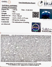 8.33/CT Natural Blue Sapphire with Govt Lab Certificate-(2331)