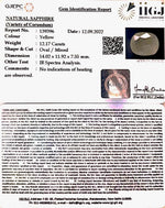 Load image into Gallery viewer, 12.17 Carat Natural Ceylonese Pukhraj with Govt Lab Certificate-6771