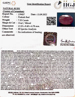 Load image into Gallery viewer, 7.33/CT Natural Mozambique Ruby with Govt. Lab Certificate-(RUBY9U)