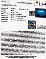 Load image into Gallery viewer, 47.313 Carat Turquoise-(1221)