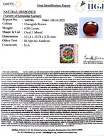 Load image into Gallery viewer, 6.50/CT Natural Govt. Lab Certified Ceylonese Gomed-(1221)