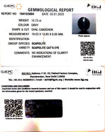 Load image into Gallery viewer, 15.73/CT Natural Scapolite Cat's Eye with Govt. Lab Certified-(1221)