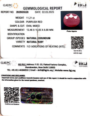 11.21/CT Natural Mozambique Ruby with Govt. Lab Certificate (RUBY9T)