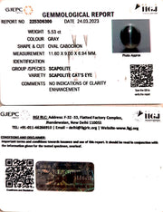 5.53/CT Natural Scapolite Cat's Eye with Govt. Lab Certified-(1221)