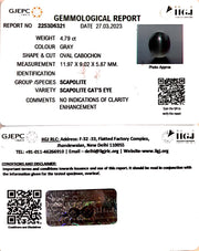 4.79/CT Natural Scapolite Cat's Eye with Govt. Lab Certified-(1221)