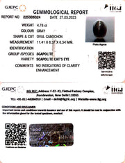 4.78/CT Natural Scapolite Cat's Eye with Govt. Lab Certified-(1221)