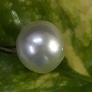 10.79 Carat Natural South Sea Pearl With Lab Certificate