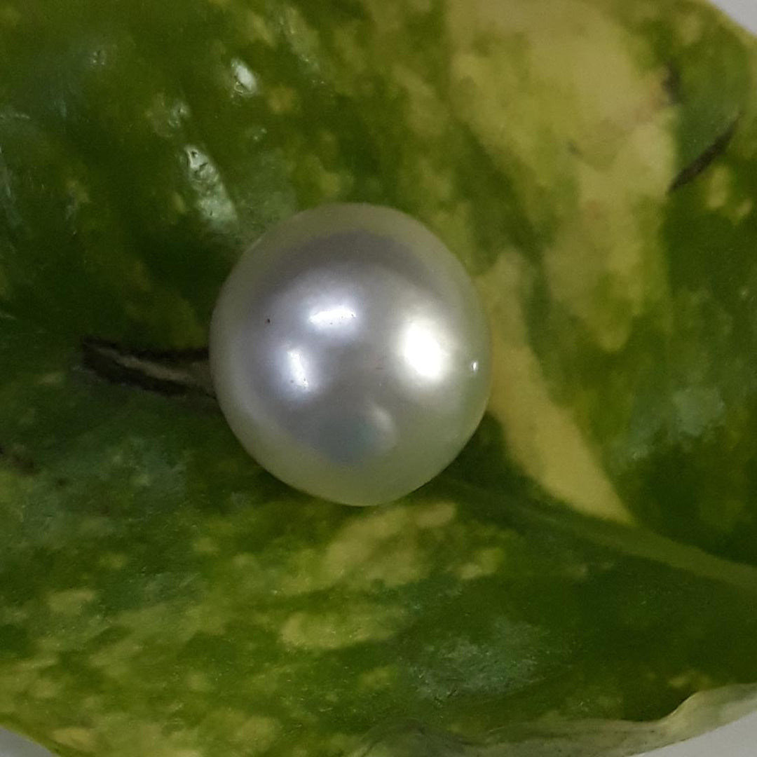 10.79 Carat Natural South Sea Pearl With Lab Certificate