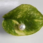 Load image into Gallery viewer, 4.02 Carat Natural South Sea Pearl With Lab Certificate