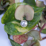 Load image into Gallery viewer, 4.02 Carat Natural South Sea Pearl With Lab Certificate