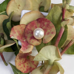 Load image into Gallery viewer, 3.67 Carat Natural South Sea Pearl With Lab Certificate