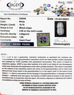 Load image into Gallery viewer, KESHI PEARL-230040-1650-19.70