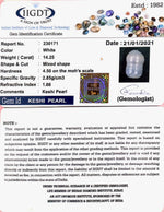 Load image into Gallery viewer, KESHI PEARL-230171-1650-14.25